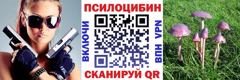 мега ссылка  Красный Сулин  Галлюциногенные грибы прущие грибы 